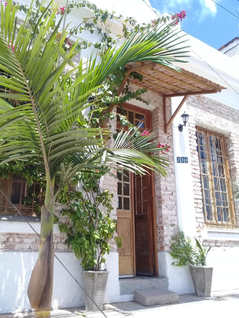 Frida Casa Hostel Пелотас Екстер'єр фото